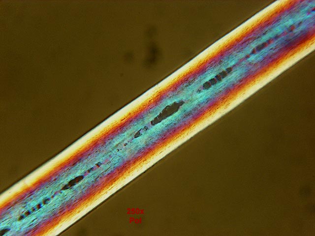 fio de cabelo visto por um microscópio